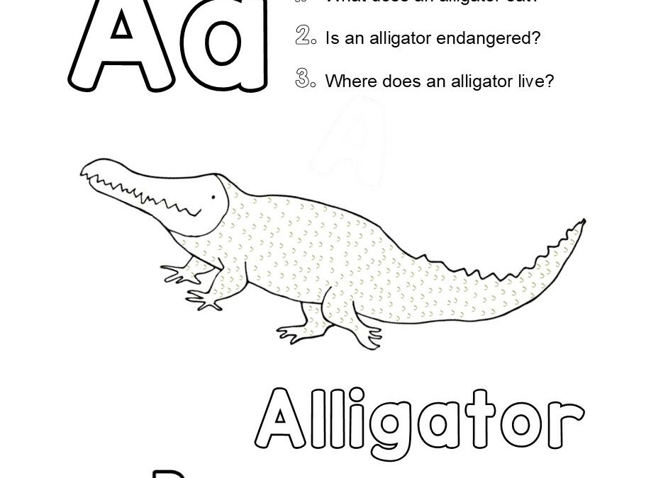 A-Alligator | Bess the Book Bus